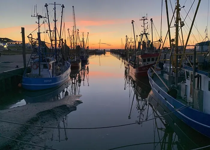 Mutt Апартаменты *